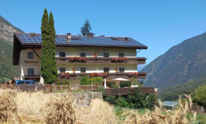 Alpenrose Martello